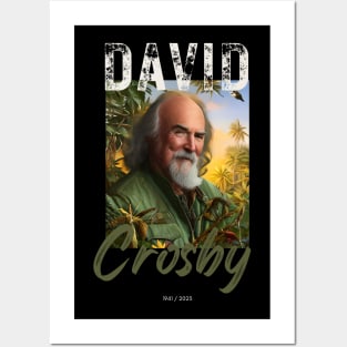 David Crosby vintage Posters and Art